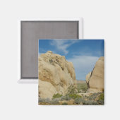 ジョシュア・ツリー国立公園のジャンボロック マグネット (正面/裏面)