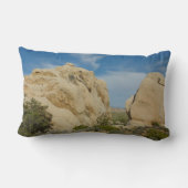 ジョシュア・ツリー国立公園のジャンボロック ランバークッション (裏面)