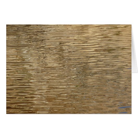 ジョシュア・ツリー国立公園のバーカーダムの水 (正面横)