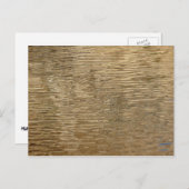 ジョシュア・ツリー国立公園のバーカーダムの水 ポストカード (正面/裏面)