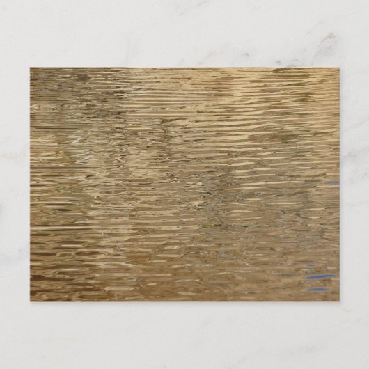 ジョシュア・ツリー国立公園のバーカーダムの水 ポストカード (正面)