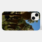 ジョシュア・ツリー国立公園のロストパームオアシス I Case-Mate iPhoneケース (裏面 (横))