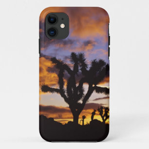 ジョシュア・ツリー国立公園の壮大な日の出 iPhone 11 ケース
