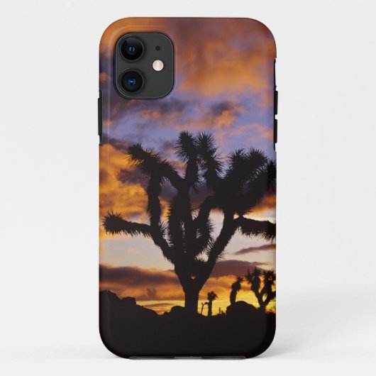ジョシュア・ツリー国立公園の壮大な日の出 Case-Mate iPhoneケース (裏面)