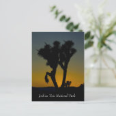 ジョシュア・ツリー国立公園カリフォルニアのはがき ポストカード (スタンド正面)