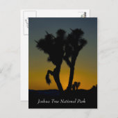 ジョシュア・ツリー国立公園カリフォルニアのはがき ポストカード (正面/裏面)