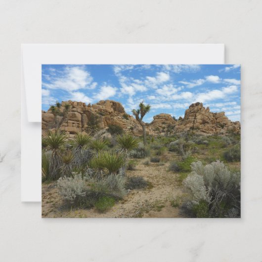 ジョシュア・ツリー国立公園バーカーダムループトレイル (正面)