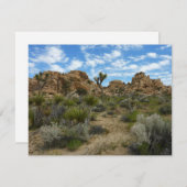 ジョシュア・ツリー国立公園バーカーダムループトレイル (正面/裏面)