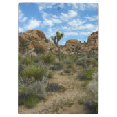 ジョシュア・ツリー国立公園バーカーダムループトレイル クリップボード (裏面)