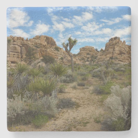 ジョシュア・ツリー国立公園バーカーダムループトレイル ストーンコースター (正面)