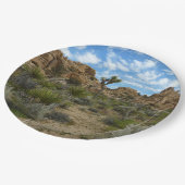 ジョシュア・ツリー国立公園バーカーダムループトレイル ペーパープレート (アングル)