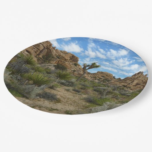 ジョシュア・ツリー国立公園バーカーダムループトレイル ペーパープレート (アングル)