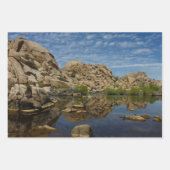 ジョシュア・ツリー国立公園バーカーダムループトレイル ラッピングペーパーシート (正面3)