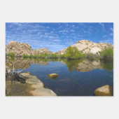 ジョシュア・ツリー国立公園バーカーダムループトレイル ラッピングペーパーシート (正面3)