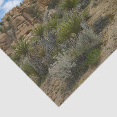 ジョシュア・ツリー国立公園バーカーダムループトレイル 薄葉紙 (詳細)