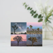 ジョシュア・ツリー国立公園 ポストカード (スタンド正面)