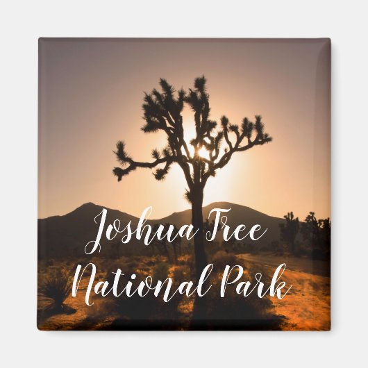 ジョシュア·ツリー·マグネットから夜が始まる マグネット (正面)