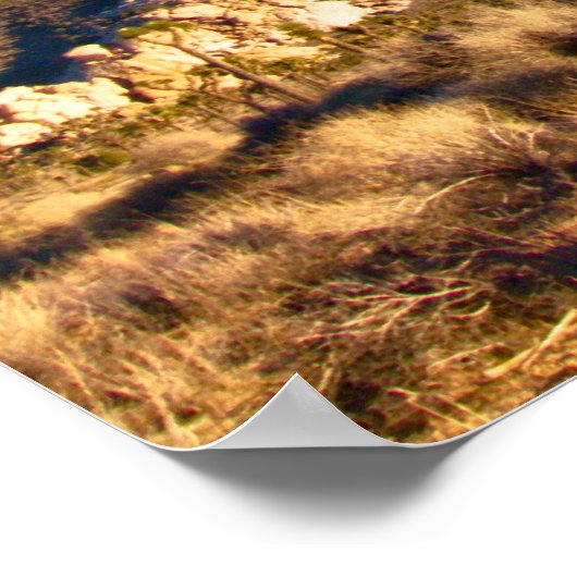 ジョシュア ポスター (角)