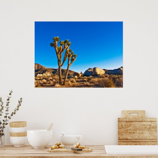 ジョシュア ポスター (キッチン)