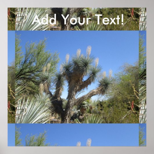 ジョシュア ポスター (正面)