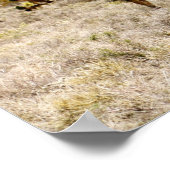 ジョシュア ポスター (角)