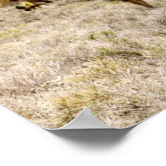 ジョシュア ポスター (角)