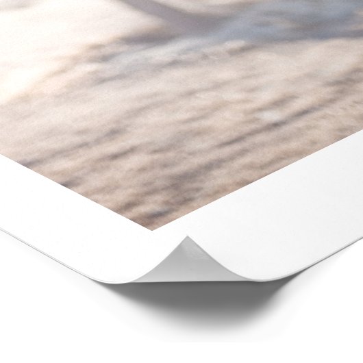 ジョシュア ポスター (角)