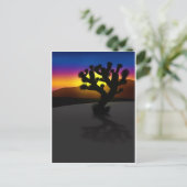 ジョシュア ポストカード (スタンド正面)