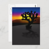 ジョシュア ポストカード (正面/裏面)