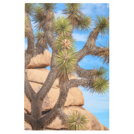 ジョシュア メタルプリント