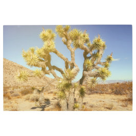 ジョシュア メタルプリント