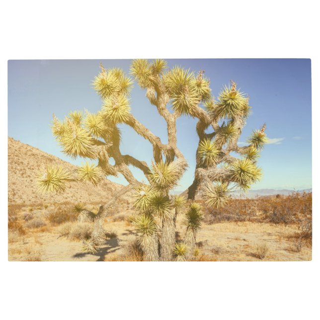 ジョシュア メタルプリント (正面)