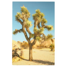 ジョシュア メタルプリント