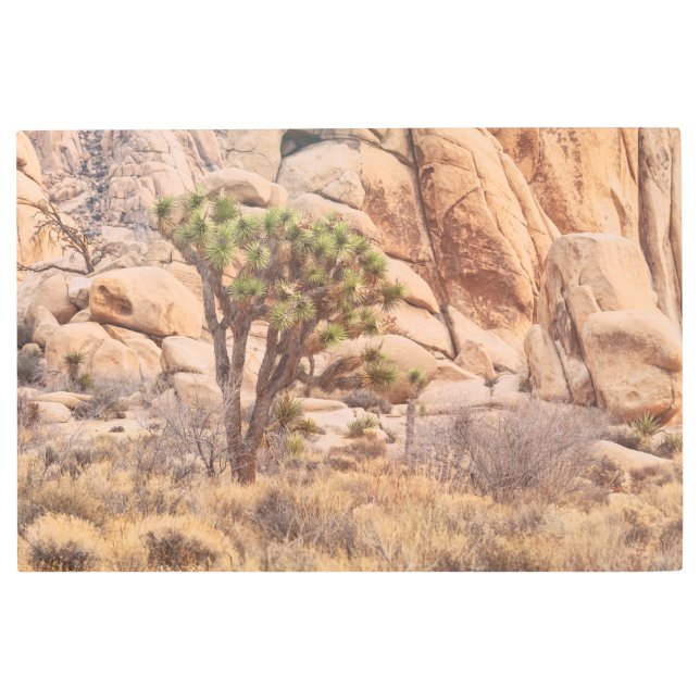 ジョシュア メタルプリント (正面)