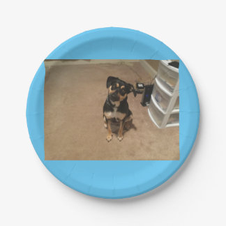 ジョシー紙プレート ペーパープレート