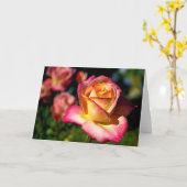 ジョセフズコートバラ聖なる書物、 経典カードイザヤ26:3 カード (黄色い花)