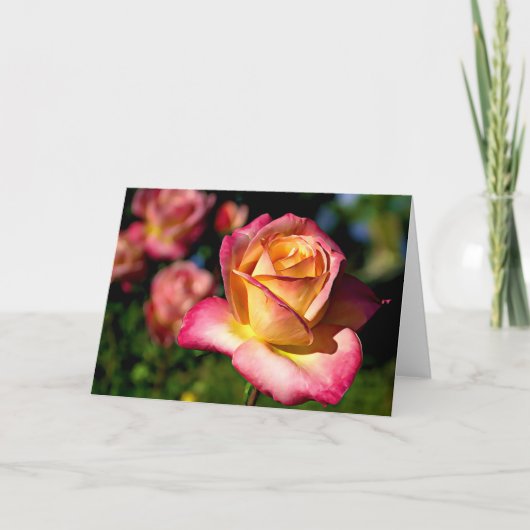 ジョセフズコートバラ聖なる書物、 経典カードイザヤ26:3 カード (正面)