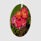 ジョセフズコートバラ#1オーナメント オーナメント (正面)