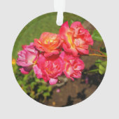 ジョセフズコートバラ#1オーナメント オーナメント (裏面)