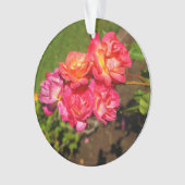 ジョセフズコートバラ#1オーナメント オーナメント (正面)