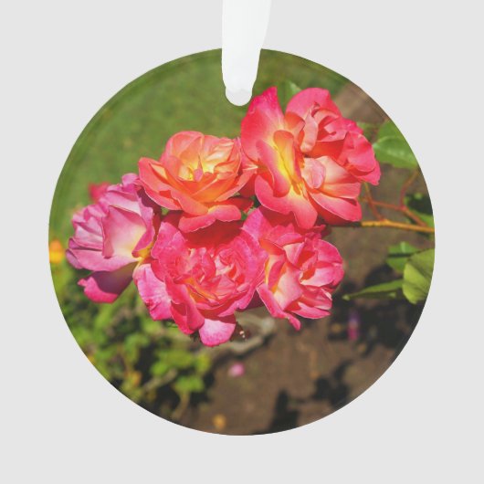 ジョセフズコートバラ#1オーナメント オーナメント (正面)