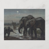 ジョセフ・ウルフによるアフリカゾウ ポストカード (正面)