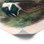 ジョセフ・ウルフによるオーストラリアのミカリア ポスター (角)