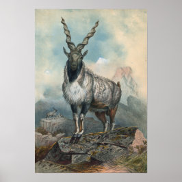 ジョセフ・ウルフによるマルクホール ポスター