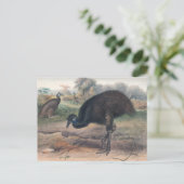 ジョセフ・ウルフによるムーア ポストカード (スタンド正面)