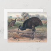 ジョセフ・ウルフによるムーア ポストカード (正面/裏面)