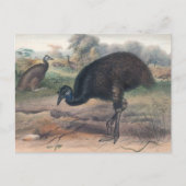 ジョセフ・ウルフによるムーア ポストカード (正面)