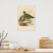 ジョセフ・ウルフによる2羽の鳥(Ptilonopus Auranthfrons) ポスター (キッチン)