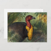 ジョセフ・ウルフのタレガラ ポストカード (正面/裏面)