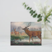 ジョセフ・ウルフのマントチュリアの鹿 ポストカード (スタンド正面)